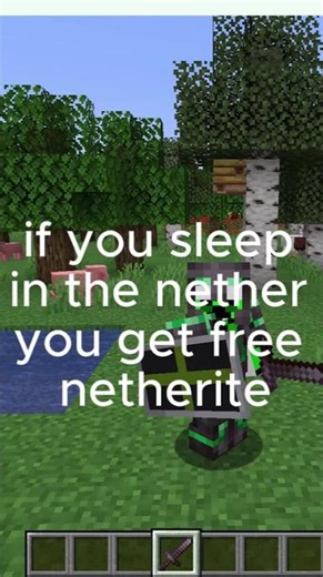 Freee netherite hack