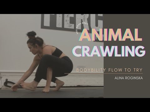 WHY DO I TRAIN ANIMAL LOCOMOTION?