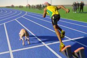 Is Usain Bolt Faster Than a Greyhound? This Simulation Ends the Debate.