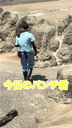 2026年5月15日今日のパンチ君🐵