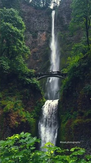 Waterfall nature 4k #nature #4knature #waterfalls