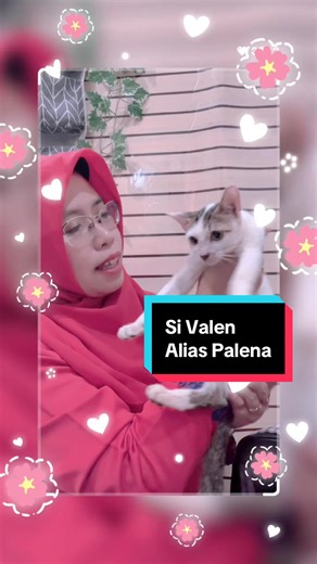 Si Valen alias Palena, kucing super aneh ya manteman.. Face nya super sad & malang tenan, tapi jangan tertipu krn aslinya gercep, & sangat doyan makan alias rakuusme😂 paling suka minum minyak goreng jd gk boleh lengah naro minyak sembarangan di dapur. Gegara itu juga bikin pencernaannya gak bagus, dan bulunya sering kotor berminyak krn dia jilat”/ mandi pke lidah yg abis kena minyak goreng yg dia minum😫😩🤬 Semoga kebiasaan jeleknya lama” hilang ya palena, kesian dibuly terus sm kucing” lain🥹