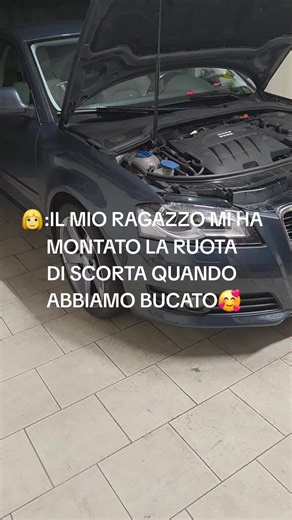 Audi A3 TDI 2.0 Swirl Issue Explained