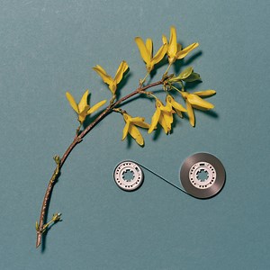 Marcus Fischer & Simon Scott - Shape Memory