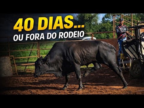 He had 40 days to return to the rodeo.