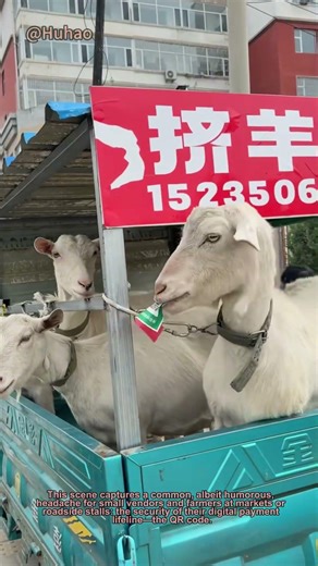 Hilarious Sheep Eats QR Code! Funny Farm Animal Prank Fails Payment | Viral Shorts
