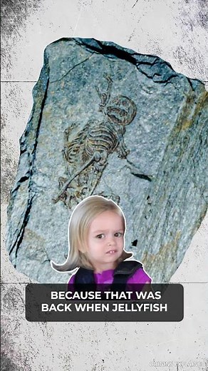 Mysterious Humanoid Fossils Found In Antarctica #shorts