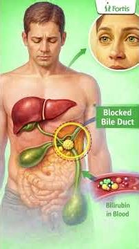 How many types of jaundice are there, and why does it happen?