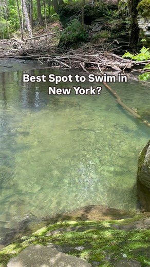 Shane on Instagram: "Catskill Heaven 🙏🙌👍 #mountains #newyork #catskills #fyp #upstatenewyork #catskillsmountains #hiking #explore #nyc #waterfall #swimminghole"
