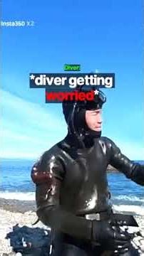 Octopus VS Human 😱