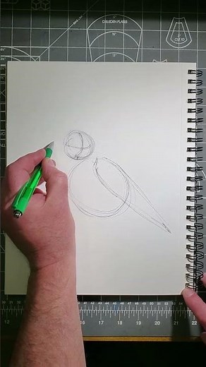 How to Quick Sketch a Black-Capped Chickadee in 60 Seconds!