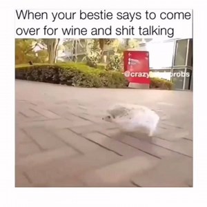 34K views · 327 reactions | 藍藍 . www.factorybuys.com.au | Factory Buys | Facebook