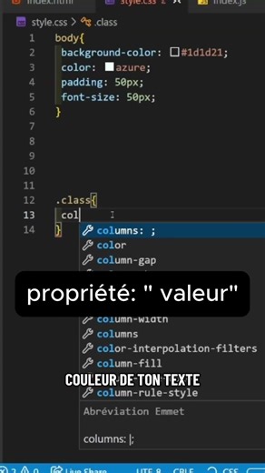 Sélecteur css pour changer la couleur du texte #astuce #code
