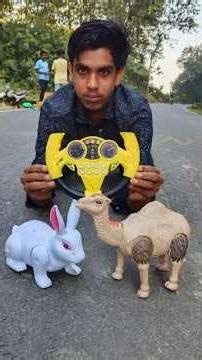 Rc remote control al 1 ta rabbit & 1ta camel testing 🔥