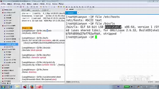 千锋云计算基础教程：2.7 Linux 文件类型