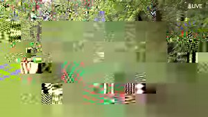 50K views · 483 reactions | Back-to-back birdies gives Paul McBeth a share of the lead! | Disc Golf Pro Tour | Facebook