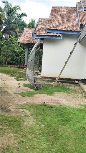 Tutorial Remuk Payung Parabola #forsat #parabola