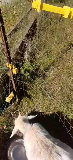 Jack Short on Reels | Facebook