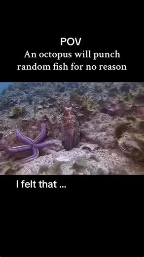 #onthisday #slipknot #numetal #heavymetal #pov