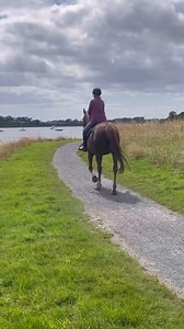 🎥 Castle Ward: A Look Back at 2024 🏰 And with that, the 2024 season comes to an end. We want to take a moment to thank everyone who helped make this year so memorable. To our amazing members, visitors, and volunteers—thank you for your support, whether it was joining us for the Easter Trail, Summer of Play, or the Halloween Cauldron Quest, exploring the house, or supporting our tearoom, bookshop, and gift shop. Your visits and contributions make everything we do possible. A special shoutout to