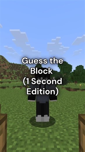 Guess the Block (1 Second Only)