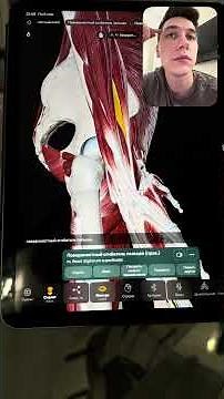 🤖🧠 Easy Anatomy has created an AI anatomy tutor that works directly inside the 3D atlas.