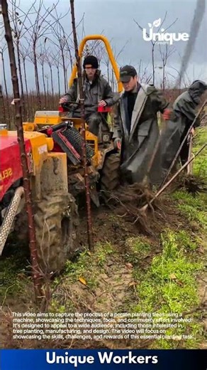 Tree planting: a person planting trees using a machine