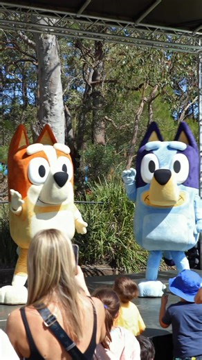 BLUEY is coming back to the Australian Reptile Park!! 🎉 See Bluey and Bingo in their new Live Interactive Experience all school holidays long! 😎 Get ready to play your favourite Bluey games Magic Asparagus, Magic Xylophone, Keepy Uppy and more with your favourite Heeler duo in this exciting new Live Interactive Experience! More info on our website 💙 | Australian Reptile Park