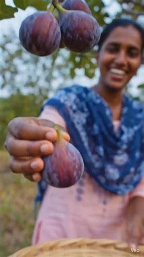 #Fig juice making natural #