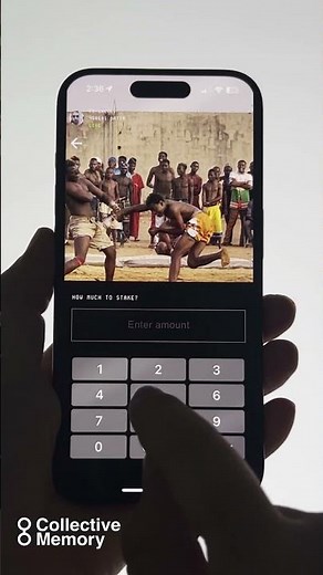 Collective Memory: Learn How to Navigate and Stake on the App