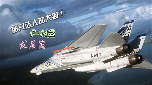 那只迷人的大猫①：F-14之发展篇