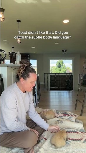 Bunny Pick Up Training