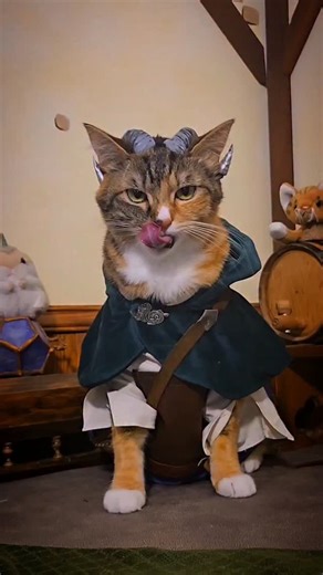 Cat Cosplay on Instagram: ""Open your heart... to Chaos!" ~ Jester Lavorre #TheMightyNein #CriticalRole #cats #cosplay #fantasy #JesterLavorre #critters"