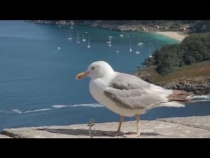 Discover Galicia - Nature