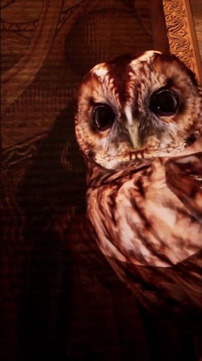 Come Study at Hogwarts This Autumn (& support NO AI Ambience artist ₊˚ 🍂・₊✧)