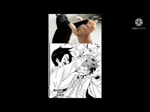 Accidental meeting Ray x Famous youtuber! Listener ~requested~ - Lonely Teacup