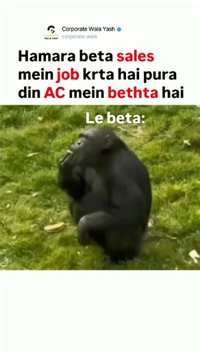 Corporatewala_yash on Instagram: "Sales person can relate this😂 . . . #corporateworld #corporatememes #memes #dailyoffice #office #sales #salesman #employee #trend"