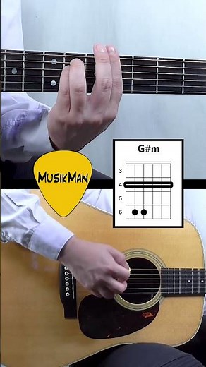 Drive 🚗 – The Cars / Guitar Chords / MusikMan