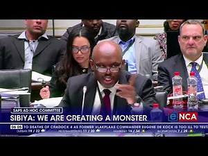 SAPS Ad Hoc Committee | Sibiya: We are creating a monster
