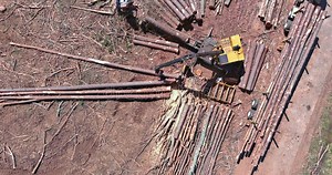 Loader Log Grab in during Clearing Land the Deforestation Forest for New Subdivision Stock Footage - Video of forestry, tractor: 250168896