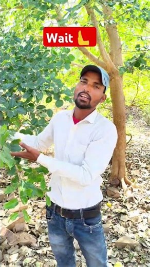 Holi ke majedar funny 😂🤣#comedy #memes #funny #shorts