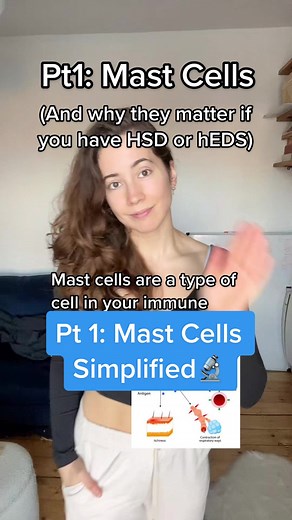 Understanding Mast Cells: A Simplified Overview