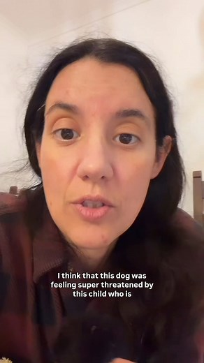 Whose fault is this attack? Parent? Dog? Child? Trainer? What do you think? | Thinking Canine