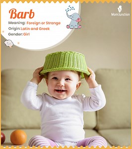 Barb Name Meaning, Origin, History, And Popularity
