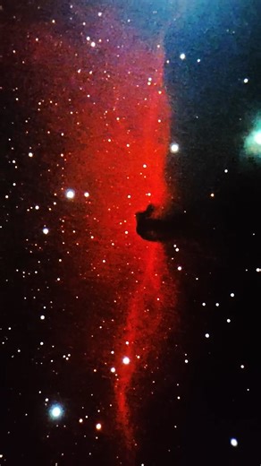 The Horsehead Nebula (B33) Viewed in SmartEye Digital Eyepiece. The total #astronomy game-changer | Pegasus Astro