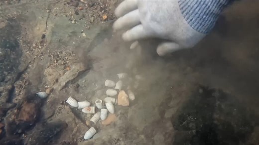 They dug 125 bullets, but this one token stole the whole hunt