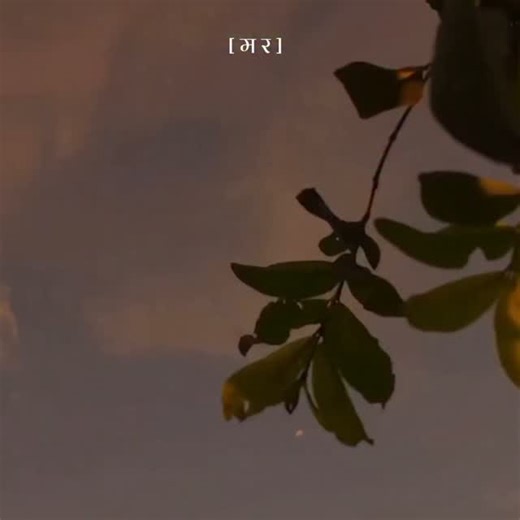 म र ? on Instagram: "#mara247 #youu06"