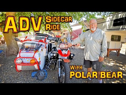 BMW R1200GS Adventure side car ride with Polar Bear