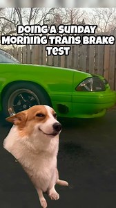 3.6K views · 216 reactions | Tick Performance Turbo Stage 2 Camshaft - Our Turbo Stage 2 Cam is engineered for enthusiasts craving more power than what the Stage 1 cam can offer. Perfect for those stepping up to a larger turbocharger, this camshaft unlocks the full potential of your engine, pushing performance to thrilling new heights. Don't settle for less when you can boost your power and leave the competition in the dust! #teamtick - YT: @BoostieMotorsports | Tick Performance | Facebook