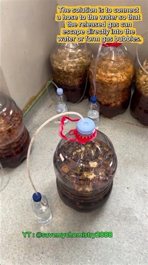 Eco-enzyme in a closed container exploded due to trapped gas during the fermentation process 🍊🍉🍌